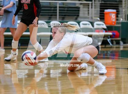 Thumbnail 3 in JV: Lovejoy @ Prosper photogallery.