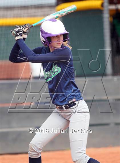 Thumbnail 1 in Borah @ Mountain View photogallery.