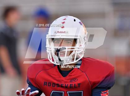 Thumbnail 3 in Roosevelt [Theodore] vs MacArthur [Douglas] photogallery.