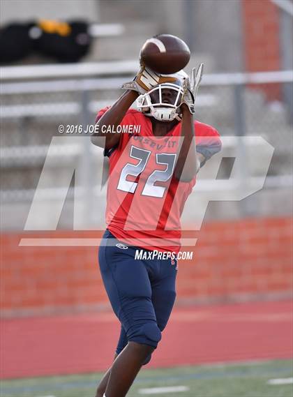 Thumbnail 2 in Roosevelt [Theodore] vs MacArthur [Douglas] photogallery.