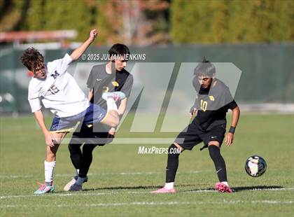Thumbnail 3 in Meridian @ Borah photogallery.