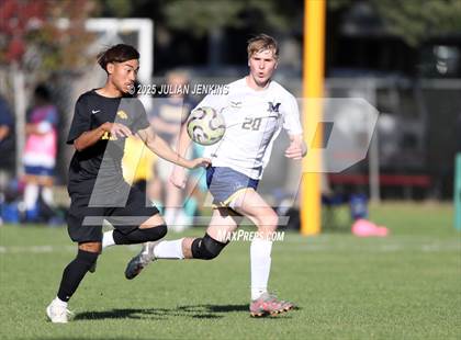 Thumbnail 3 in Meridian @ Borah photogallery.