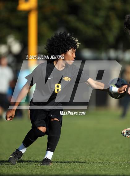 Thumbnail 2 in Meridian @ Borah photogallery.