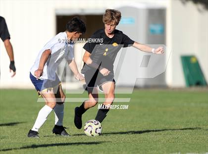 Thumbnail 3 in Meridian @ Borah photogallery.