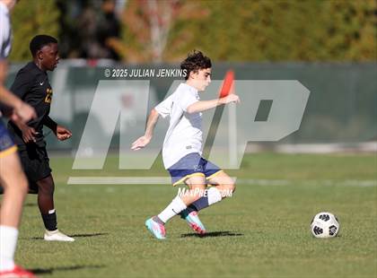 Thumbnail 1 in Meridian @ Borah photogallery.