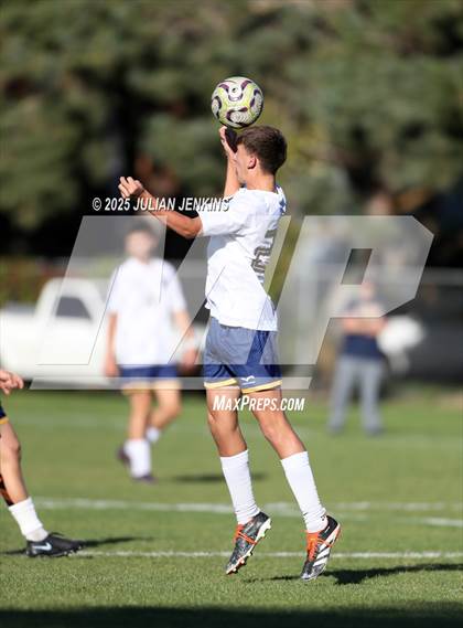 Thumbnail 1 in Meridian @ Borah photogallery.