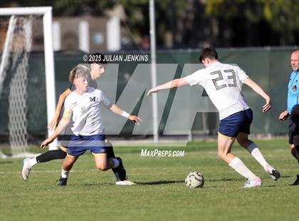 Thumbnail 3 in Meridian @ Borah photogallery.