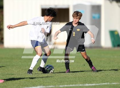 Thumbnail 3 in Meridian @ Borah photogallery.