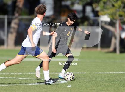 Thumbnail 1 in Meridian @ Borah photogallery.