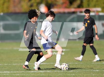 Thumbnail 2 in Meridian @ Borah photogallery.