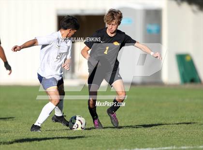 Thumbnail 2 in Meridian @ Borah photogallery.