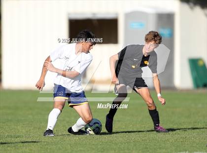 Thumbnail 1 in Meridian @ Borah photogallery.