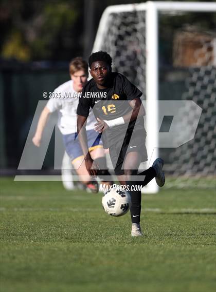 Thumbnail 1 in Meridian @ Borah photogallery.