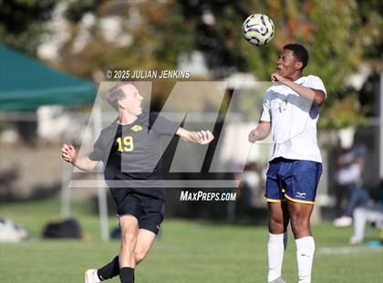 Thumbnail 2 in Meridian @ Borah photogallery.
