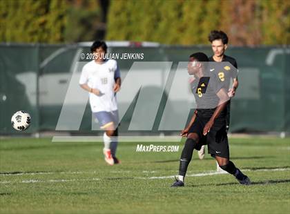 Thumbnail 3 in Meridian @ Borah photogallery.