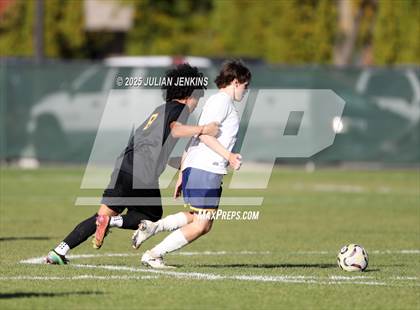 Thumbnail 2 in Meridian @ Borah photogallery.