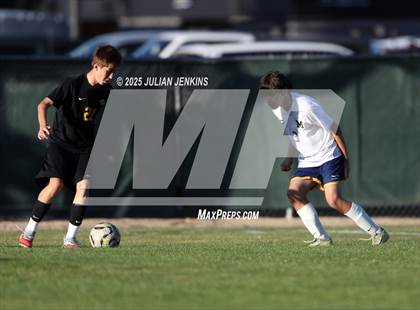 Thumbnail 3 in Meridian @ Borah photogallery.