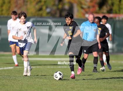Thumbnail 3 in Meridian @ Borah photogallery.