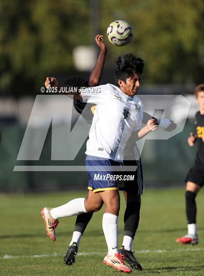 Thumbnail 2 in Meridian @ Borah photogallery.
