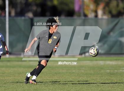 Thumbnail 2 in Meridian @ Borah photogallery.