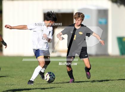 Thumbnail 1 in Meridian @ Borah photogallery.