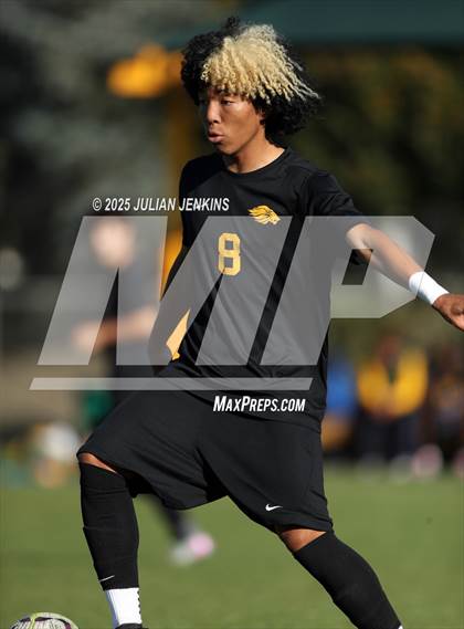 Thumbnail 3 in Meridian @ Borah photogallery.