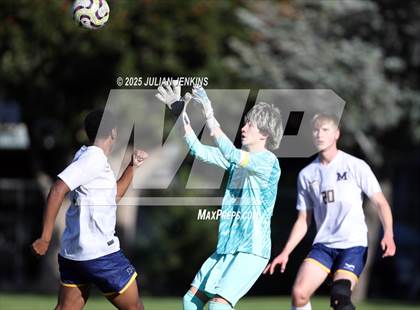 Thumbnail 2 in Meridian @ Borah photogallery.