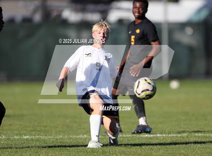 Thumbnail 2 in Meridian @ Borah photogallery.
