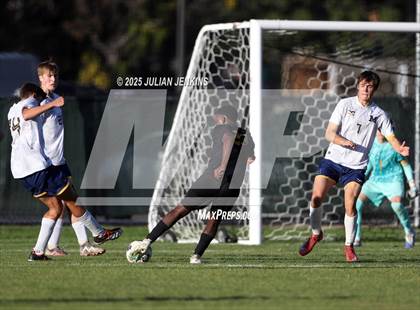 Thumbnail 3 in Meridian @ Borah photogallery.