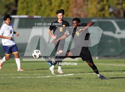 Thumbnail 2 in Meridian @ Borah photogallery.