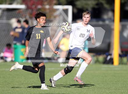 Thumbnail 2 in Meridian @ Borah photogallery.