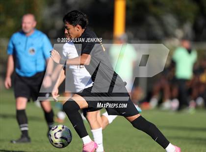 Thumbnail 3 in Meridian @ Borah photogallery.