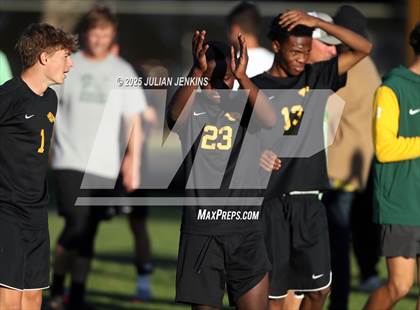 Thumbnail 2 in Meridian @ Borah photogallery.