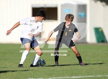 Thumbnail 2 in Meridian @ Borah photogallery.