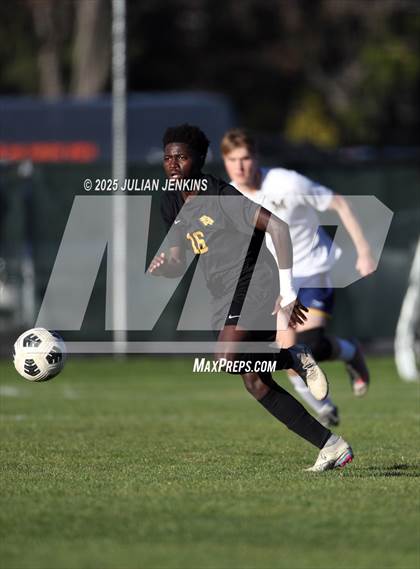 Thumbnail 1 in Meridian @ Borah photogallery.