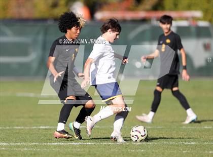 Thumbnail 3 in Meridian @ Borah photogallery.