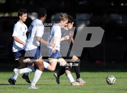 Thumbnail 2 in Meridian @ Borah photogallery.