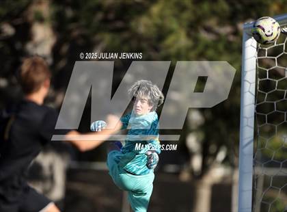 Thumbnail 3 in Meridian @ Borah photogallery.
