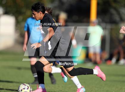 Thumbnail 1 in Meridian @ Borah photogallery.