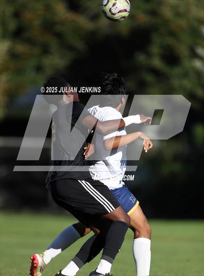 Thumbnail 3 in Meridian @ Borah photogallery.
