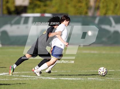 Thumbnail 3 in Meridian @ Borah photogallery.