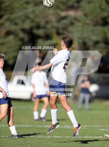 Thumbnail 2 in Meridian @ Borah photogallery.