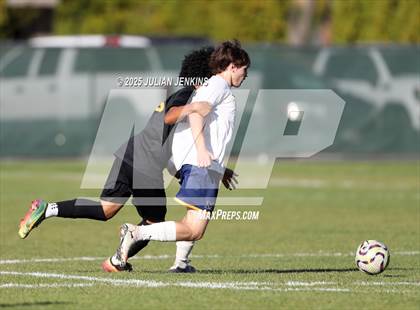 Thumbnail 1 in Meridian @ Borah photogallery.