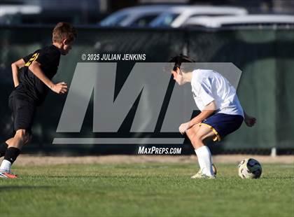 Thumbnail 3 in Meridian @ Borah photogallery.