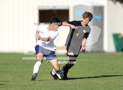 Thumbnail 3 in Meridian @ Borah photogallery.