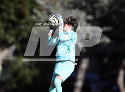 Thumbnail 1 in Meridian @ Borah photogallery.