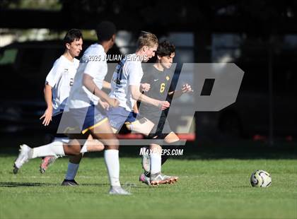 Thumbnail 1 in Meridian @ Borah photogallery.