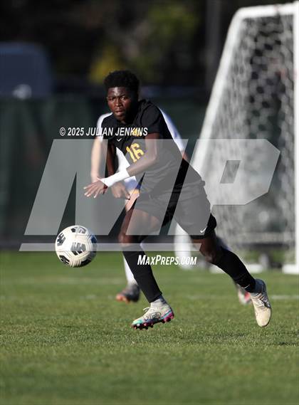 Thumbnail 3 in Meridian @ Borah photogallery.