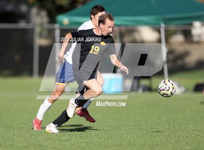 Thumbnail 1 in Meridian @ Borah photogallery.