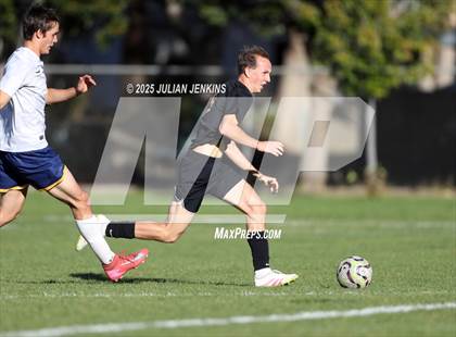 Thumbnail 3 in Meridian @ Borah photogallery.